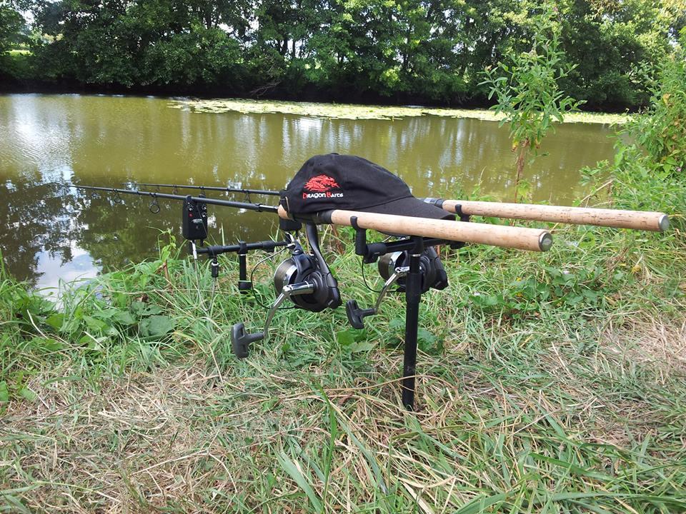 pescuitul+natura - 558550502340596515598717046230n.jpg